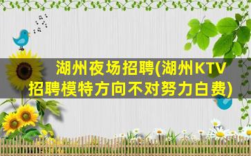 湖州夜场招聘(湖州KTV招聘模特方向不对努力白费)